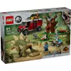 Dinosaurier-Missionen: Stegosaurus-Entdeckung