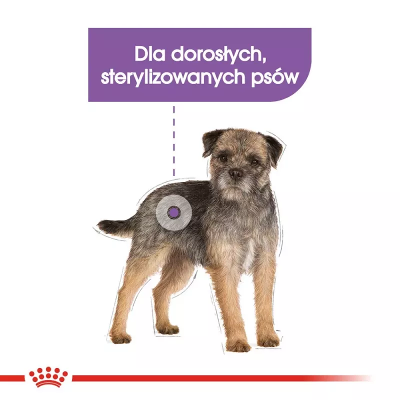 Royal Canin Adult Poultry Trockenfutter für Hunde 1 kg – für sterilisierte kleine und kleinste Rassen, Protein 30%, Fett 13%