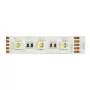 Synergy 21 LED Flex Strip 5050 - 60 RGB DC24V + RGB-W one chip SWW IP20