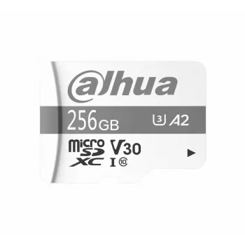Dahua Technology P100 256 GB MicroSD UHS-I Class 10