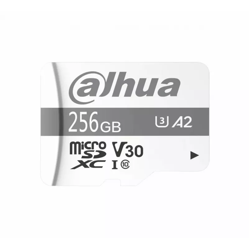 Dahua Technology P100 256 GB MicroSD UHS-I Class 10