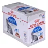 Nassfutter für Katzen Royal Canin Indoor Sterilized 85 g Beutel — ausgewachsene kastrierte Wohnungskatzen, Geflügelgeschmack, Packung 12 x 85 g
