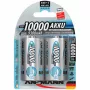 Batterie D Ansmann 10000 mAh Mono HR20 NiMH