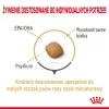 Trockenfutter Royal Canin Pomeranian Adult 3 kg – Formel für kleine Rassen für ausgewachsene Pomeranians