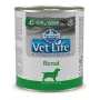 FARMINA Vet Life Canine Renal - Nassfutter für Hunde - 300 g