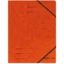 Konventioneller Aktenordner Herlitz 972463 Karton Orange A4