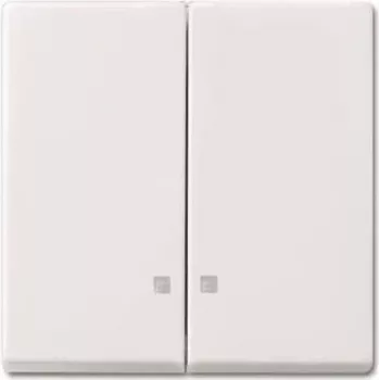 BUSCH JAEGER 2CKA001731A3996 - Wippe - Weiß - IP20