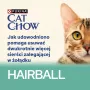 CAT CHOW Hairball Control Huhn grüne Bohnen in Sauce 85 g