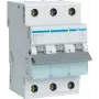 Hager MBN310. AC-Eingangsfrequenz: 50/60 Hz, Nennausgangsstrom: 10 A (MBN310)
