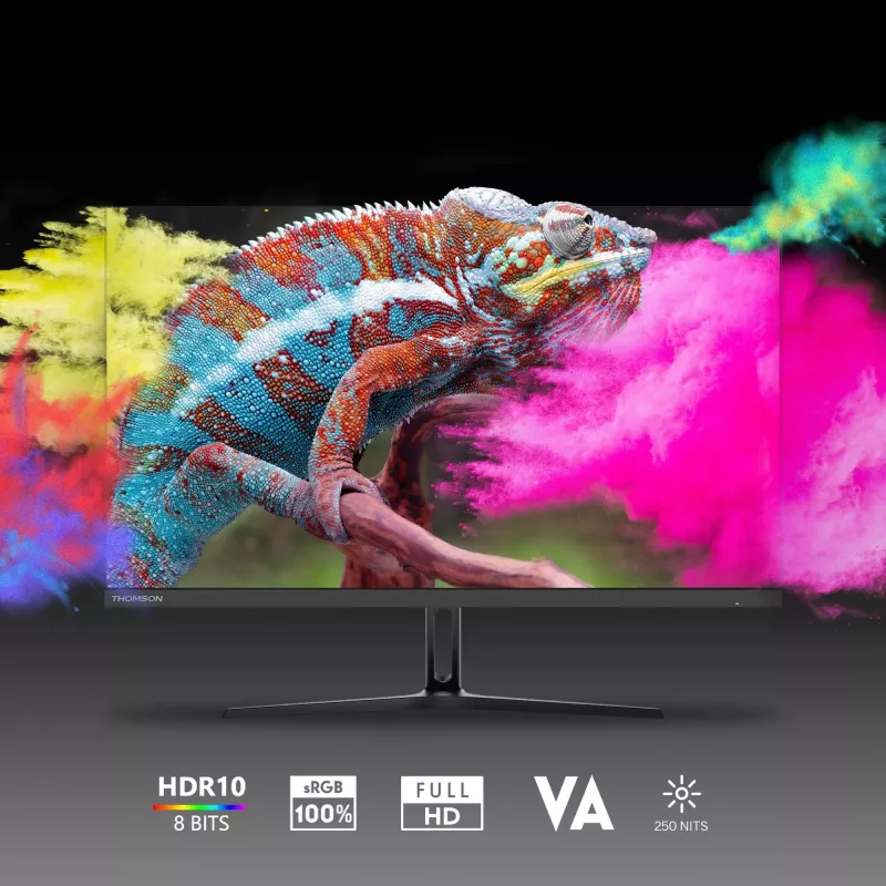 Monitor THOMSON M24FB2Y14 24 Zoll (61 cm) Full HD 1920x1080 VA LED, 14 ms, VESA, Schwarz