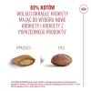 Trockenfutter für Katzen Royal Canin FHN Ageing 11+ 2 kg — Geflügel, 30% Protein, Gelenk- und Nierenunterstützung