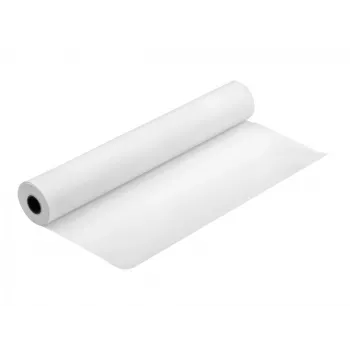 Epson Fotopapier Gloss C13S041892 17 Zoll x 30,5 m 250 g/m²