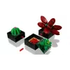 Lego Icons 10309 Sukkulenten