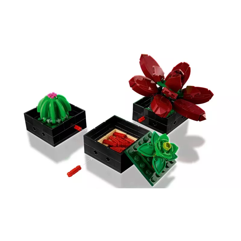 Lego Icons 10309 Sukkulenten