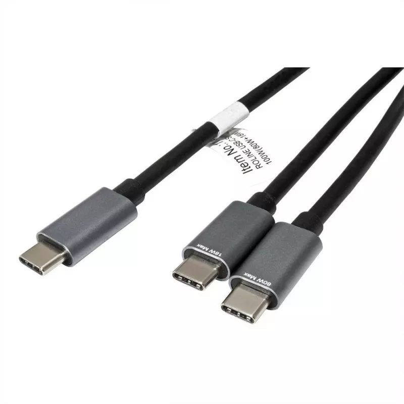 ROLINE - USB-Kabel - 24-pol USB-C (M) auf 24-pol USB-C (M) - USB 2.0 - 1,85 m - USB-Stromversorgung (100 W) - Schwarz (11.02.8308)