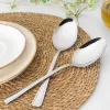 Servierlöffel-Set Salter BW09649 – 2-teilig aus Edelstahl, spülmaschinenfest