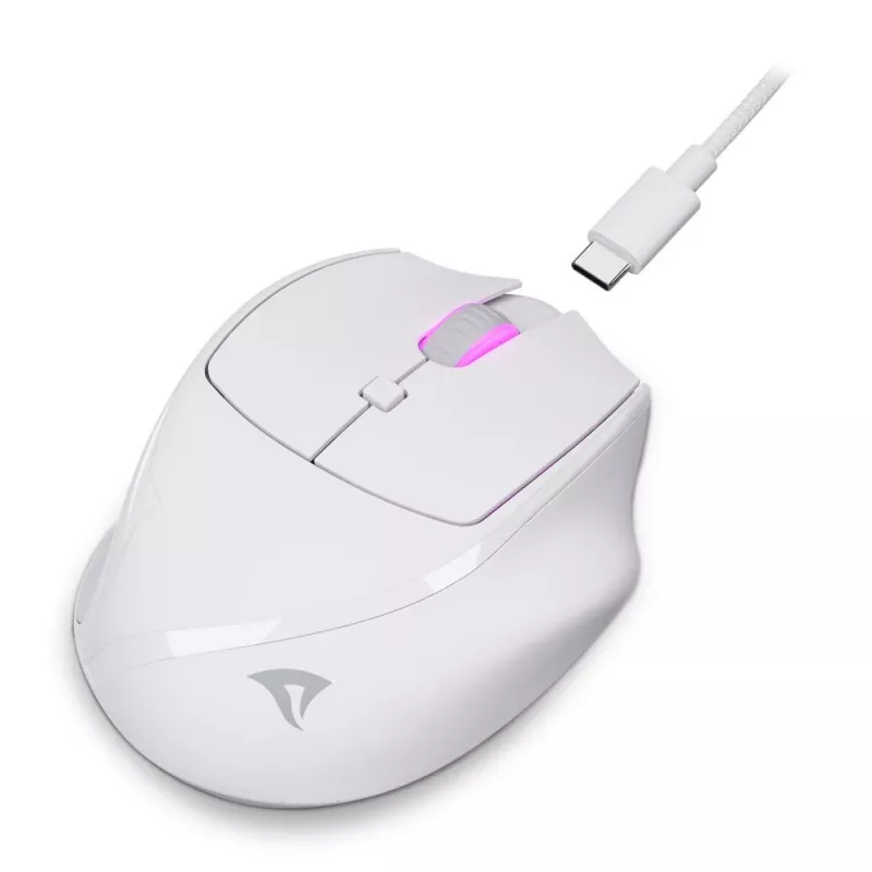 Sharkoon OfficePal M25W kabellose Office-Maus, rechtshändig, 4000 DPI