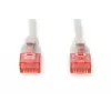 Netzwerkkabel ASSMANN Electronic DK-1617-010S RJ-45 Cat6 1m Grau