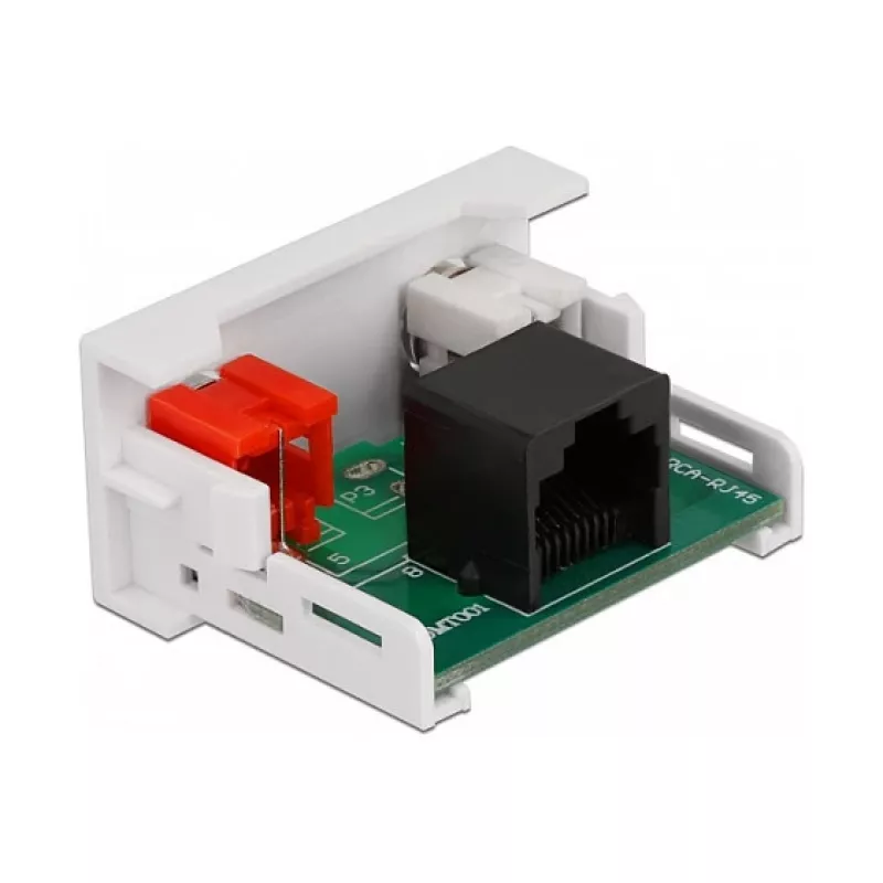 DeLOCK Easy 45 Modul 2 x Cinch-Buchse auf RJ45-Buchse 22,5 x 45 mm