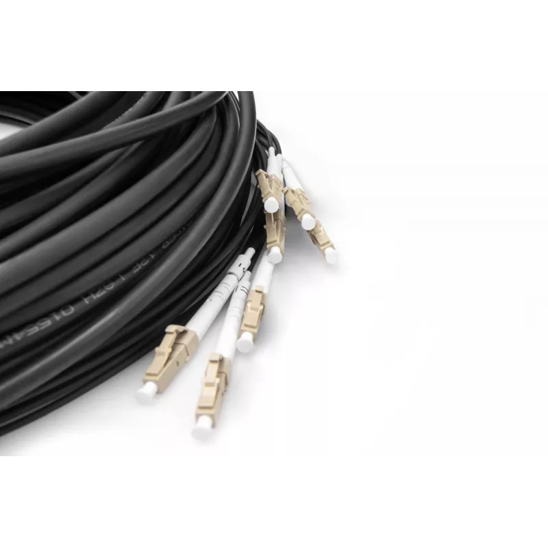 Digitus vorkonfektioniertes Glasfaser-Universal-Breakoutkabel Multimode OM4 8 Fasern LC/UPC 50 m