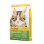 Trockenfutter für Katzen Josera Kitten Geflügel 2 kg