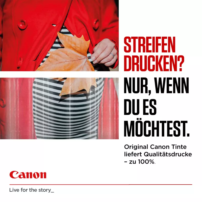 Canon 6204C001 Tintenpatrone 1 Stk. Original High (XL) Yield Schwarz