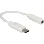Audiokabel DeLOCK 65913 0,14 m 3,5 mm USB Weiß