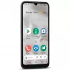 Doro 8100 Plus 15,5 cm (6,1 inch) Dual-SIM Android 11 Go Edition 4G USB Typ-C 2 GB 32 GB 3000 mAh Grau (380501)
