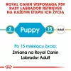 ROYAL CANIN SHN Breed Labrador Junior Trockenfutter für Hunde - 12 kg