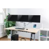 LogiLink BP0052 Monitorhalterung / Ständer 81,3 cm (32) Schreibtisch Metallic