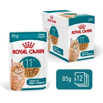 Nassfutter für Katzen Royal Canin FHN Ageing 11+ Gravy 12×85 g – Senior Komplett-Nassfutter in Schalen