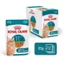 Nassfutter für Katzen Royal Canin FHN Ageing 11+ Gravy 12×85 g – Senior Komplett-Nassfutter in Schalen