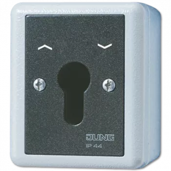 JUNG 834.28G Elektroschalter Schlüsselschalter Schwarz - Weiß (834.28G)