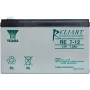 Verschlossene Blei-Säure-Batterie Yuasa RE7-12 12V 7Ah AGM für Backup- und Stromversorgungssysteme