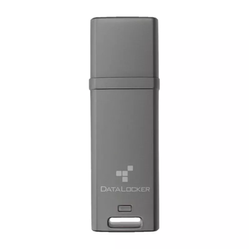 DataLocker 16GB DL GO 256BIT - USB 3.2 Gen 1 Flash-Speicher - sortiert (DLGO-016)