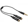 Audiokabel DeLOCK 65356 0,25 m 3,5 mm 2 x 3,5 mm Schwarz