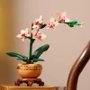 LEGO ICONS 10343 Die Botanical Collection - Mini-Orchidee