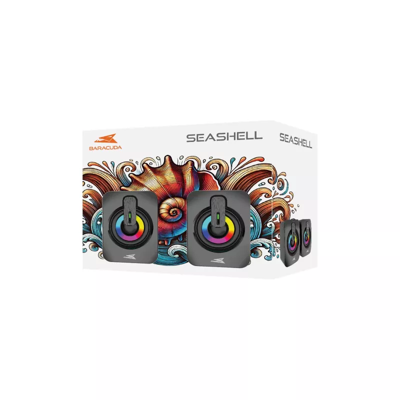 Baracuda Seashell BGSP-011 Schwarz — dekoratives Muschelaccessoire