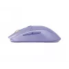 Maus Steelseries 62525 RF Wireless + Bluetooth