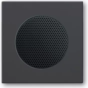 BUSCH JAEGER 2CKA008200A0078 - Schwarz - quadratisch - 8223 U - 63 mm - 63 mm