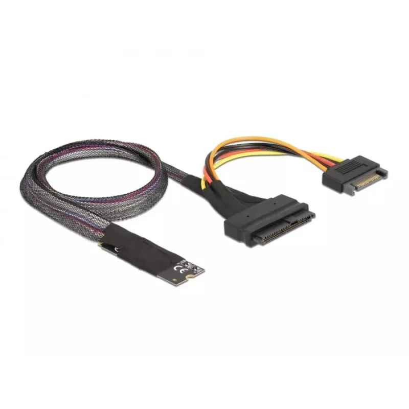 DeLOCK M.2 Key M auf U.2 SFF-8639 NVMe-Adapter mit 50 cm Kabel