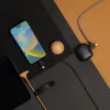 Native Union Belt Kabel USB-C/USB-C-Kabel