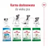 Trockenfutter für Hunde Royal Canin Mini Adult 8+ 2 kg — kleine Rassen 5–10 kg, Geflügel, gewichtskontrollierende Formel