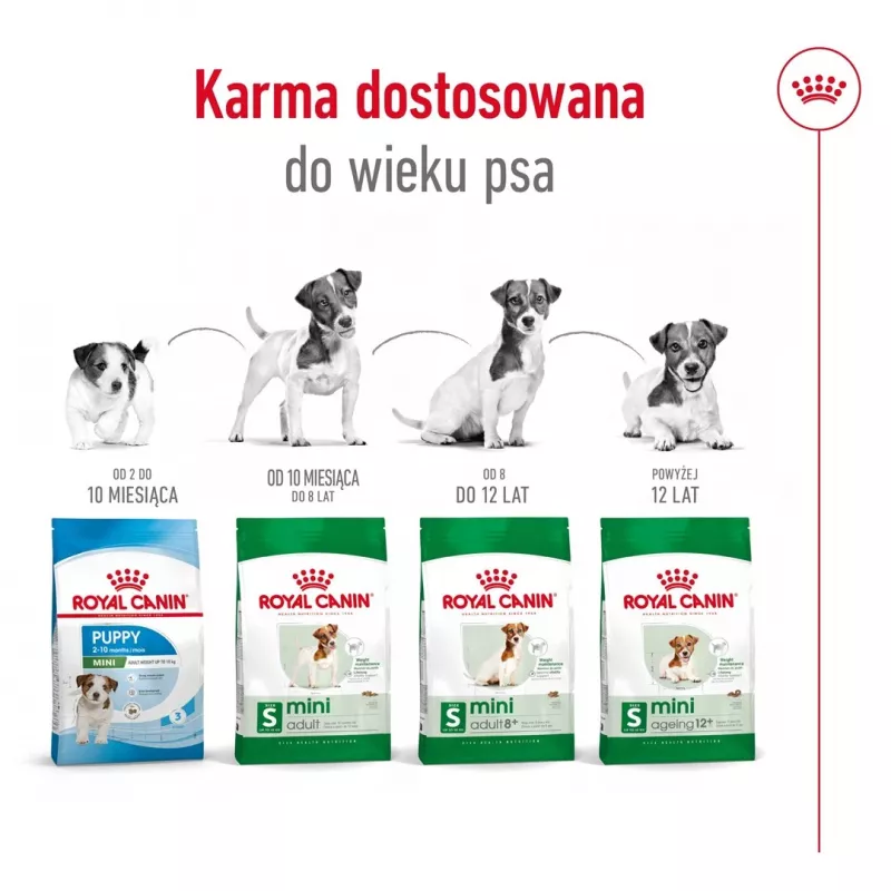 Trockenfutter für Hunde Royal Canin Mini Adult 8+ 2 kg — kleine Rassen 5–10 kg, Geflügel, gewichtskontrollierende Formel