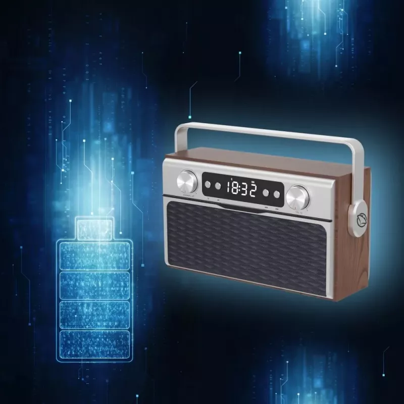 Tragbares Radio MANTA RDI917PRO mit Bluetooth und USB-Wiedergabe