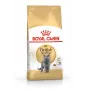 Trockenfutter für Katzen Royal Canin British Shorthair Adult 2 kg — Geflügel, 34% Protein, 19% Fett
