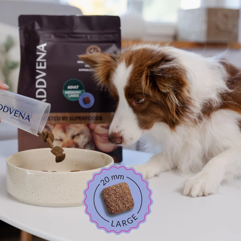 ADDVENA Boosted by superfoods Adult Medium/Large Beef - Trockenhundefutter - 2,5 kg