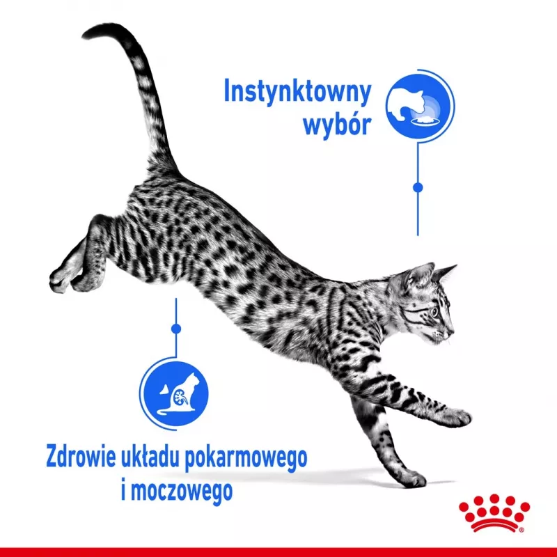 Nassfutter für Katzen Royal Canin Indoor Sterilized 85 g Beutel — ausgewachsene kastrierte Wohnungskatzen, Geflügelgeschmack, Packung 12 x 85 g