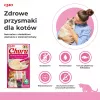 INABA Churu Thunfisch mit Garnelengeschmack - Katzensnacks - 4x14 g