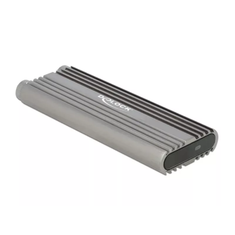 SSD-Gehäuse DeLOCK 42001 Silber M.2